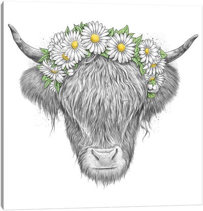 Highland Cow Canvas Art Print - Nikita Korenkov