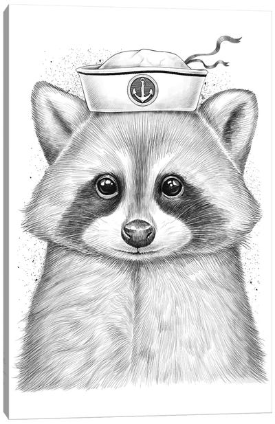 Raccoon Sailor Canvas Art Print - Nikita Korenkov