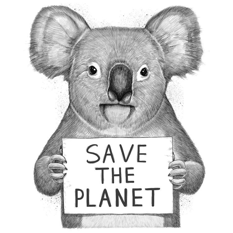 Koala Save The Planet