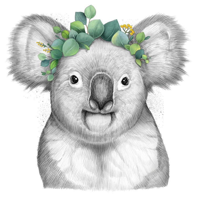 Koala With Eucalyptus