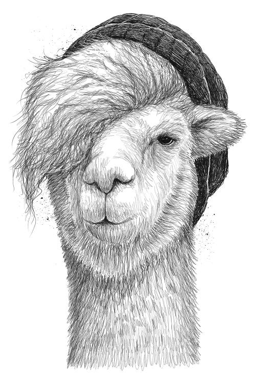 Lama