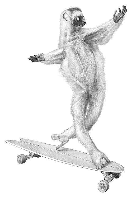 Lemur On The Board