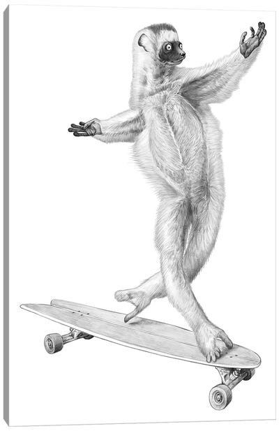 Lemur On The Board Canvas Art Print - Nikita Korenkov