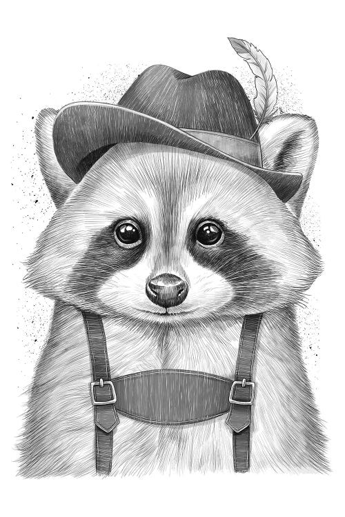 German Raccoon