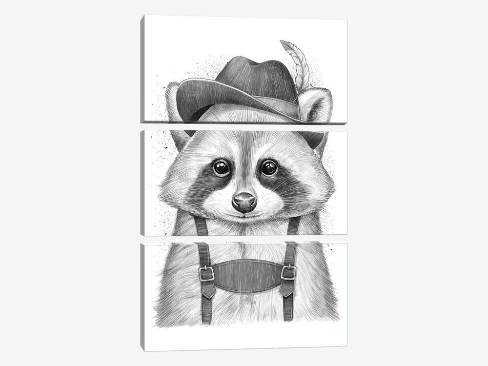 German Raccoon 3-piece Canvas Print