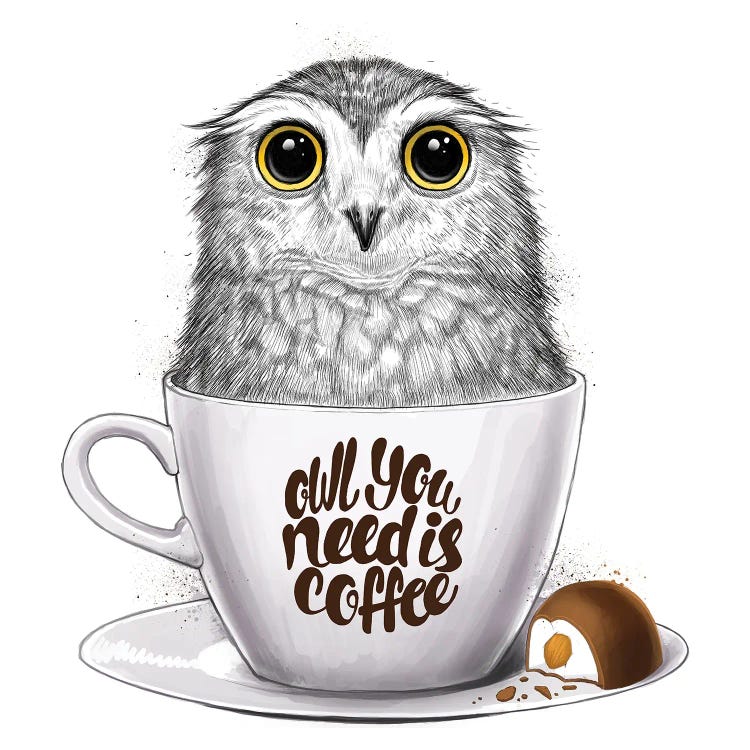 Owl You Need Is Coffee