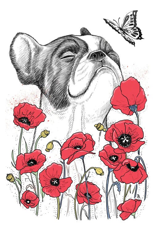 Pug In Poppies