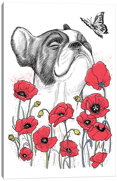 Pug In Poppies Canvas Art Print - Nikita Korenkov