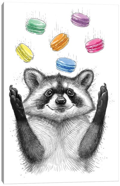 Raccoon And Cookies Canvas Art Print - Nikita Korenkov