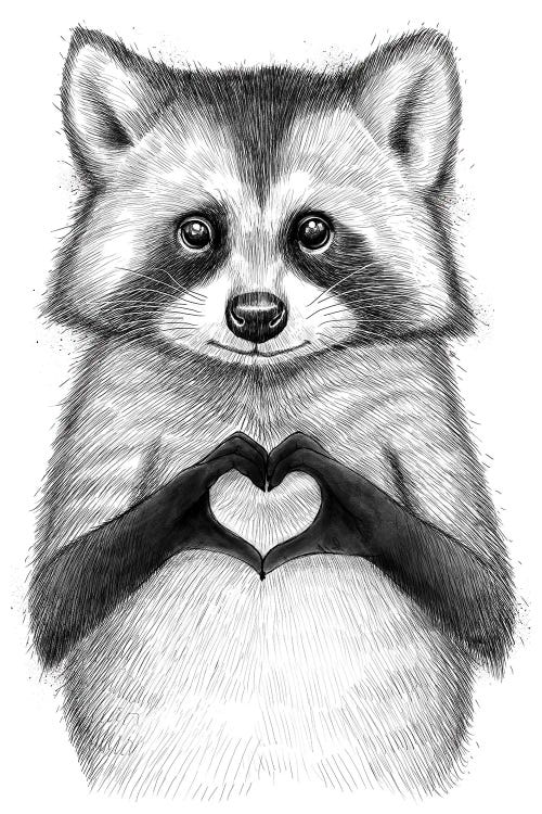 Raccoon With Heart