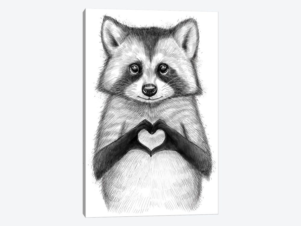 Raccoon With Heart 1-piece Canvas Print