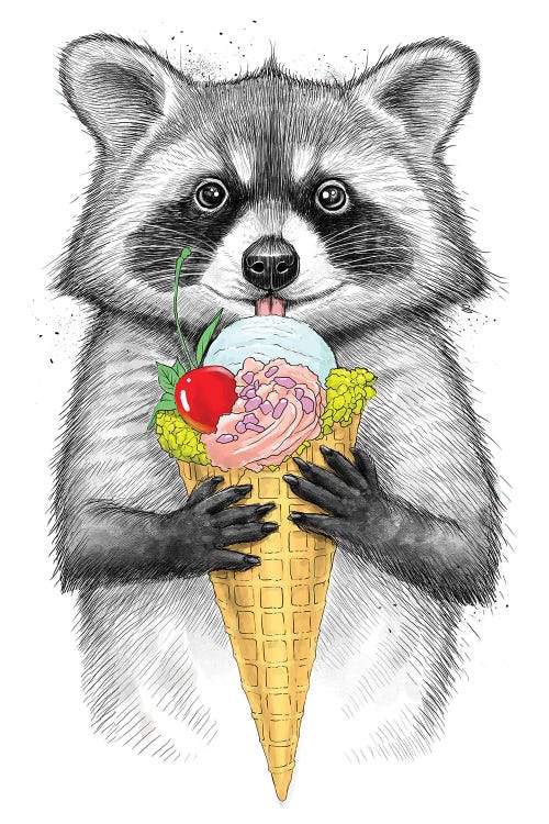 Raccoon With Ice Cream