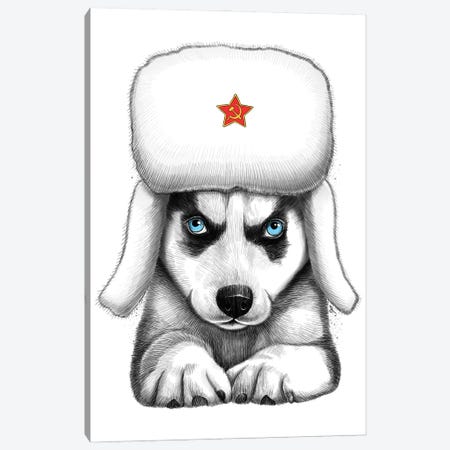 Siberian Husky Canvas Print #NKV64} by Nikita Korenkov Canvas Art