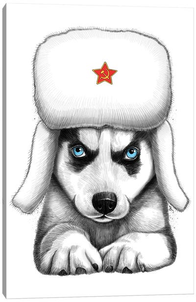 Siberian Husky Canvas Art Print - Nikita Korenkov