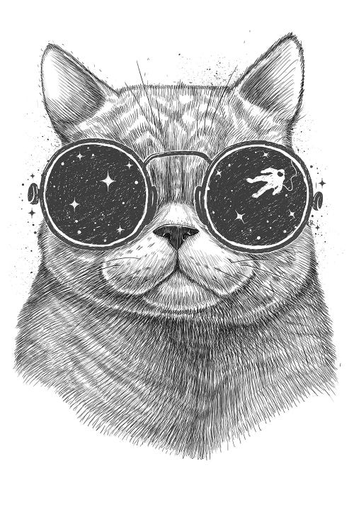 Space Cat