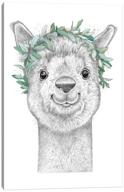 Alpaca With Wreath Canvas Art Print - Llama & Alpaca Art