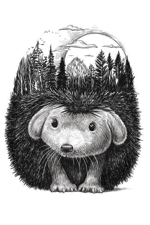 Forest Hedgehog