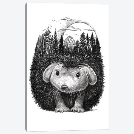 Forest Hedgehog Canvas Print #NKV76} by Nikita Korenkov Canvas Art Print
