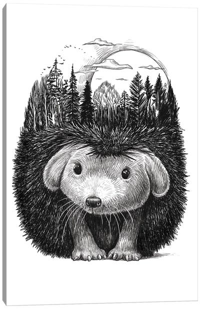 Forest Hedgehog Canvas Art Print - Hedgehogs