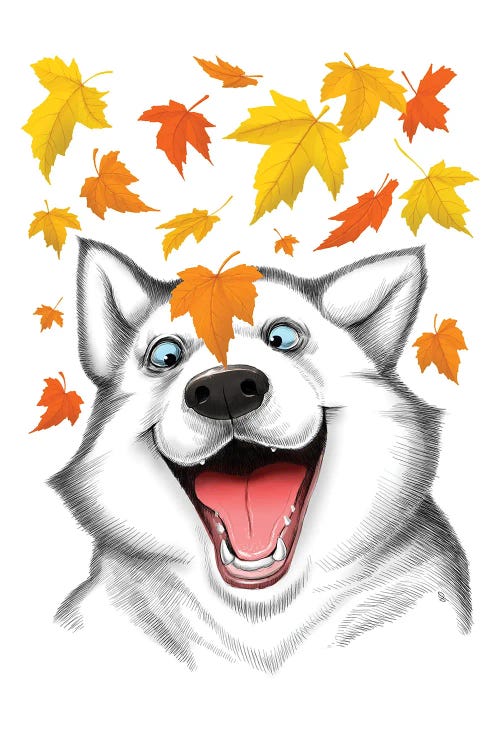 Autumn Husky