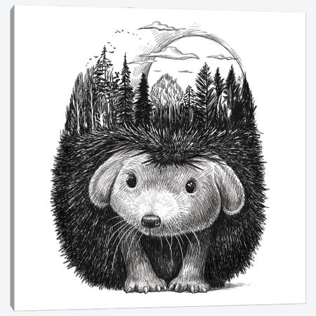 Forest In The Hedgehog Canvas Print #NKV82} by Nikita Korenkov Canvas Art Print