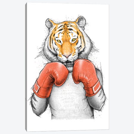 Tiger Boxer Canvas Print #NKV83} by Nikita Korenkov Canvas Print