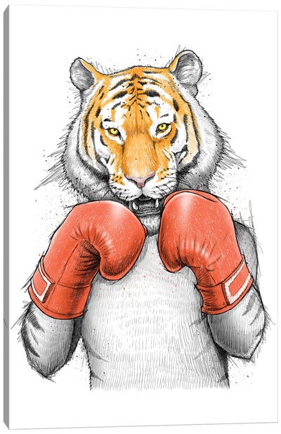 Tiger Boxer Canvas Art Print