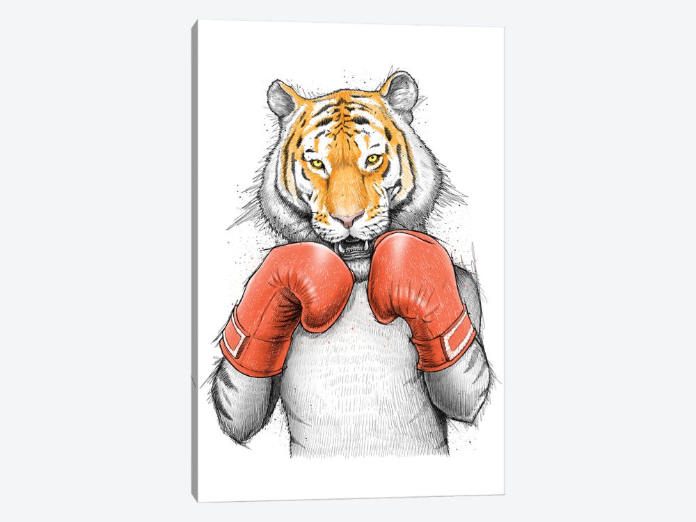 Tiger Boxer by Nikita Korenkov 1-piece Canvas Wall Art