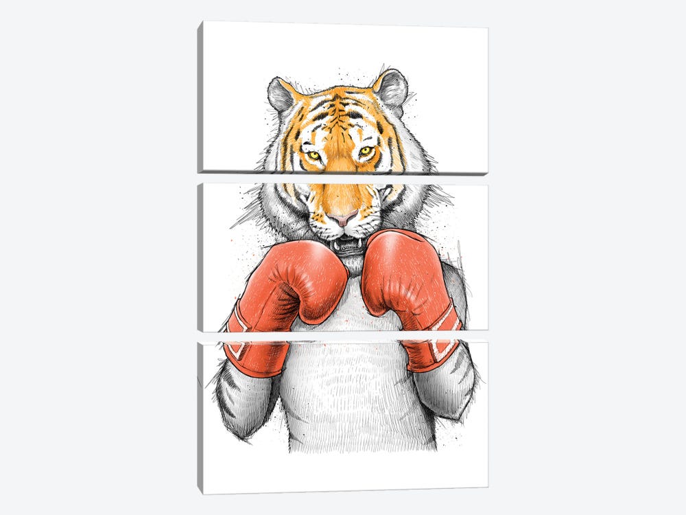 Tiger Boxer by Nikita Korenkov 3-piece Canvas Wall Art