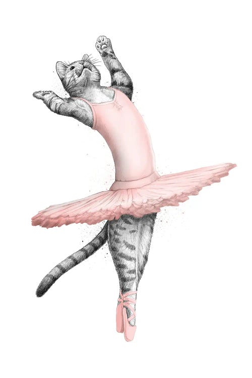 Ballerina Cat