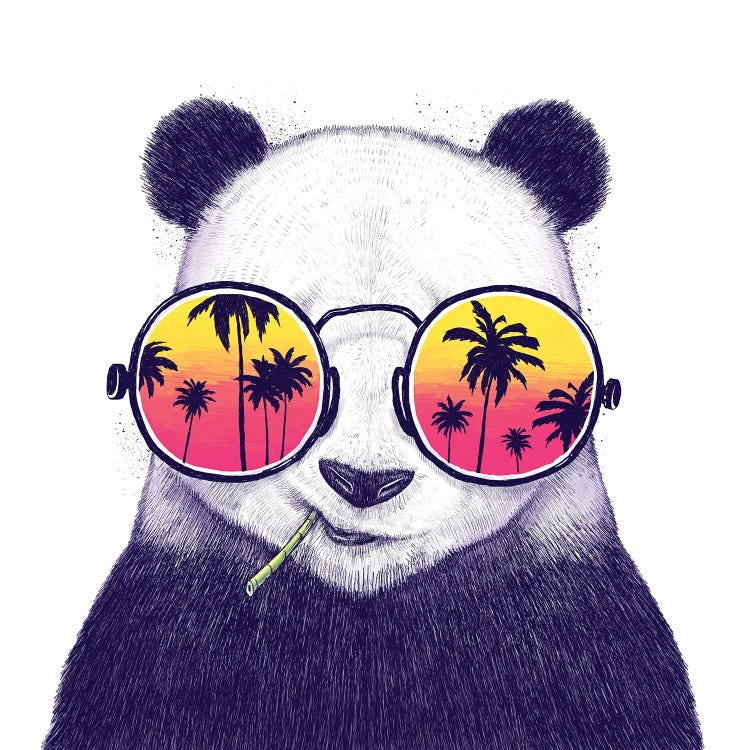 Tropical Panda