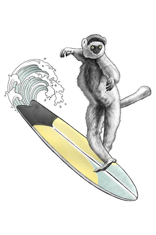 Sifaka Surfer