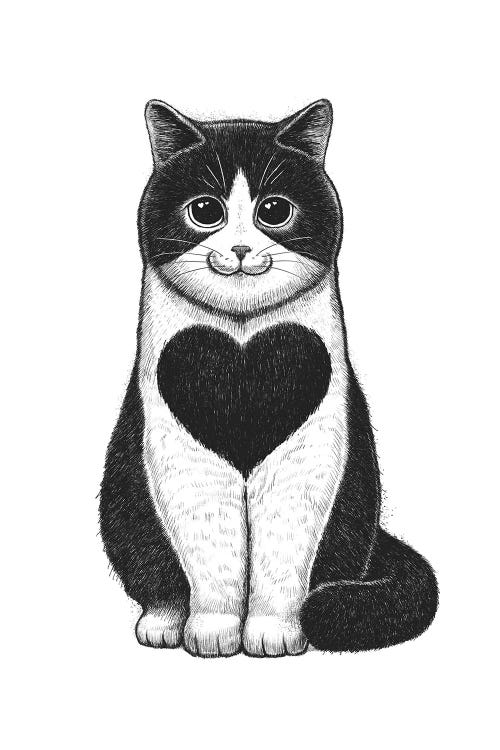 Cat With Heart