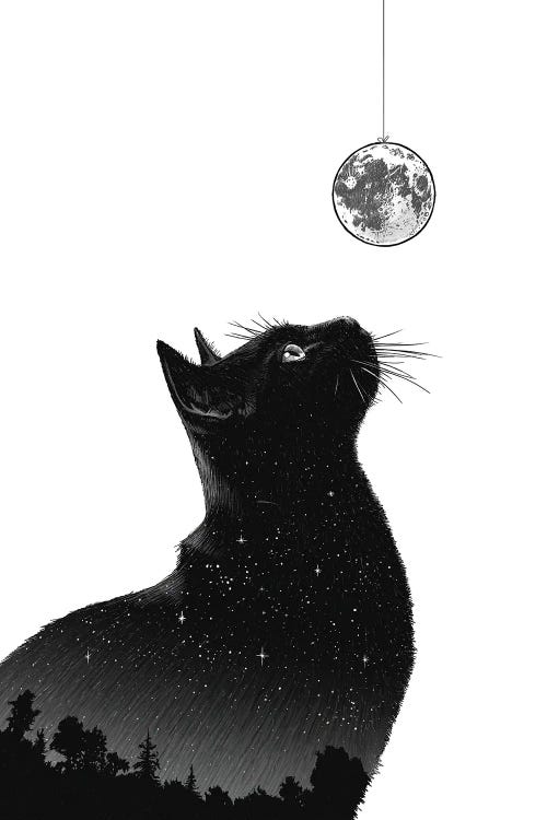 Night Cat