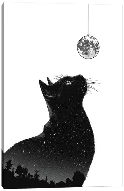 Night Cat Canvas Art Print - Black Cat Art