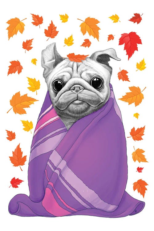 Autumn Pug In Plaid