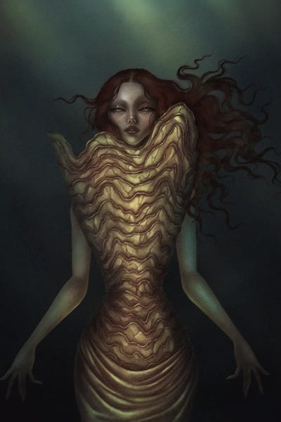 The Siren by Nicolas Roa canvas print