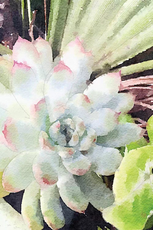 Watercolor Green Succulent