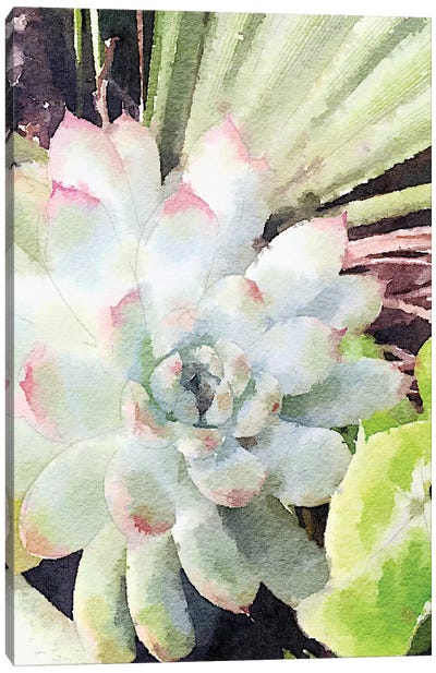 Watercolor Green Succulent Canvas Art Print