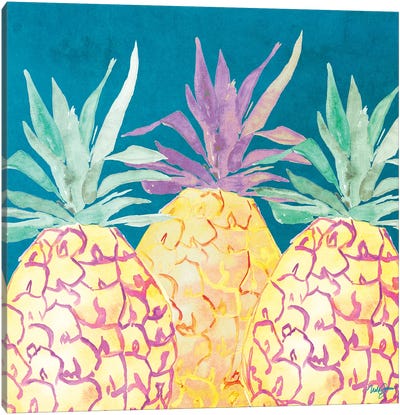 Havana Pineapple Canvas Art Print