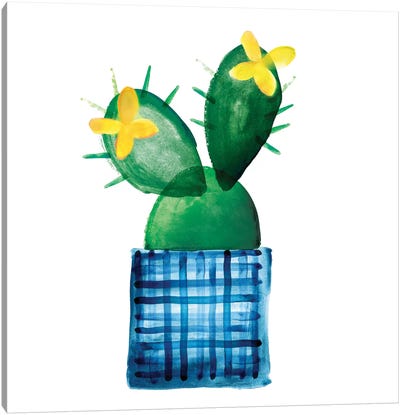 Colorful Cactus VIII Canvas Art Print