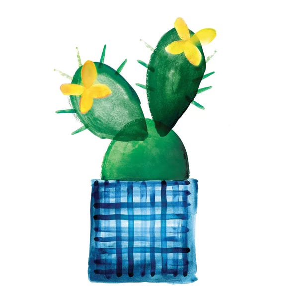 Northern Lights: Colorful Cactus VIII by Northern Lights