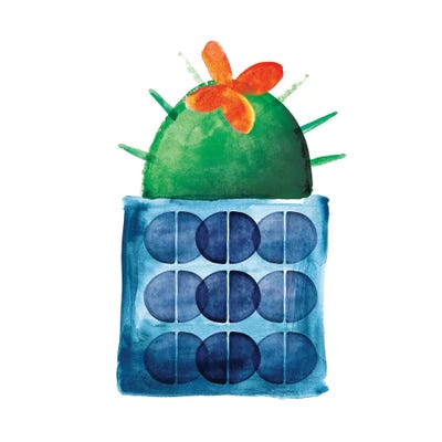 Colorful Cactus IX by Northern Lights framed wall art