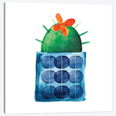 Colorful Cactus IX Canvas Print #NLI11} by Northern Lights Canvas Art