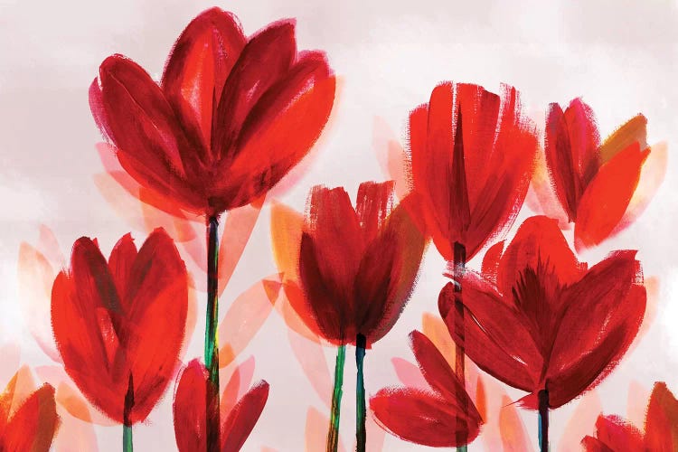 Contemporary Poppies Red