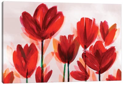 Contemporary Poppies Red Canvas Art Print - Poppy Art