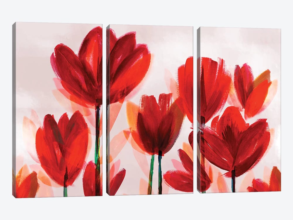 Contemporary Poppies Red by Northern Lights 3-piece Canvas Art Print