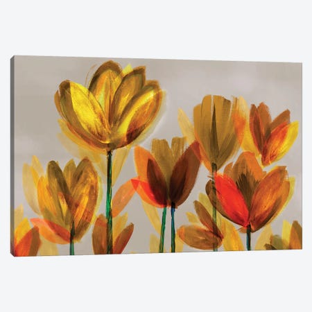 Contemporary Poppies Yellow Canvas Print #NLI13} by Northern Lights Canvas Artwork
