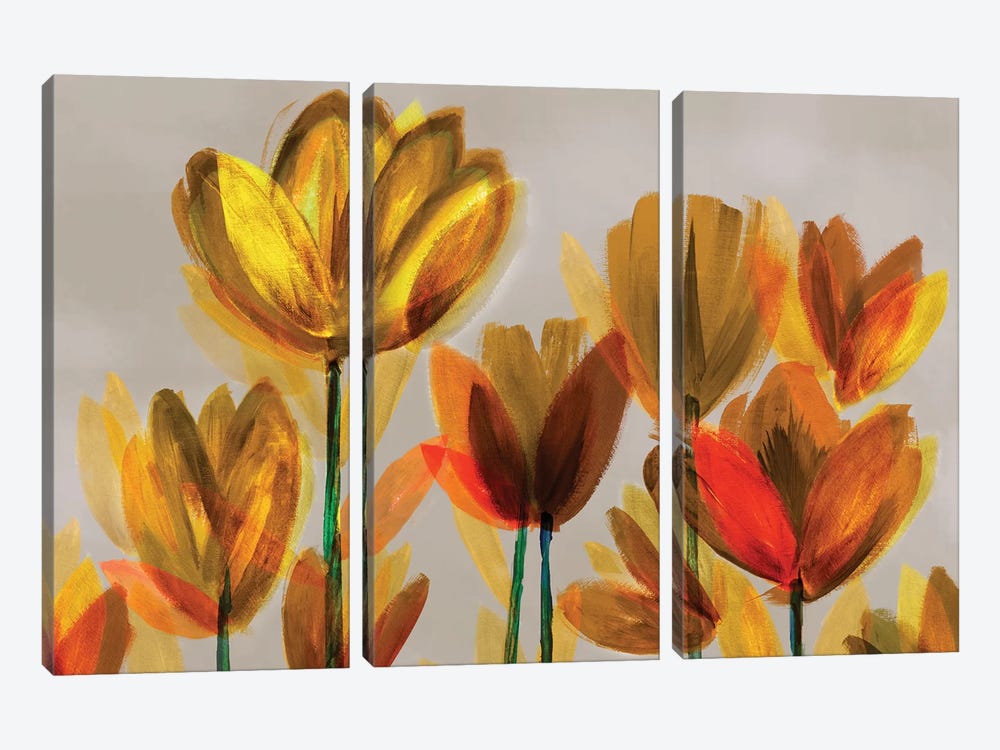 Contemporary Poppies Yellow by Northern Lights 3-piece Canvas Art