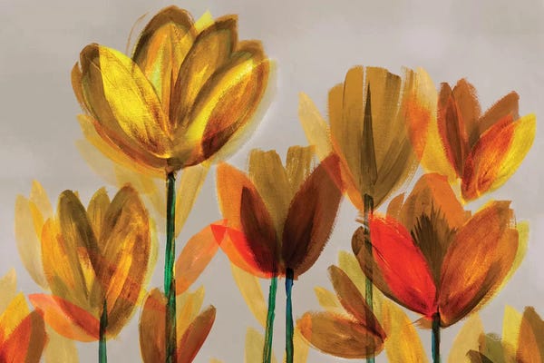 Northern Lights: Contemporary Poppies Yellow by Northern Lights